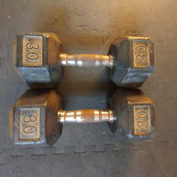 Rusty 30lb Rubber Hex Dumbbells--