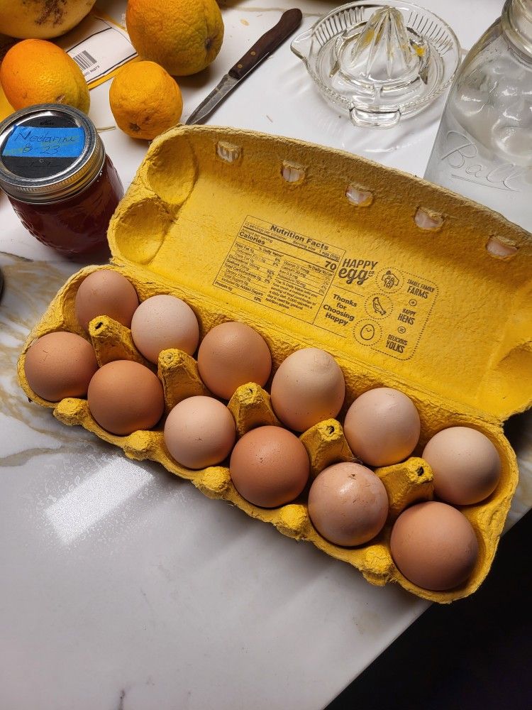 Farm Fresh Free Range Eggs