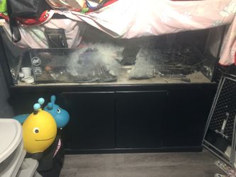 Fish Tank