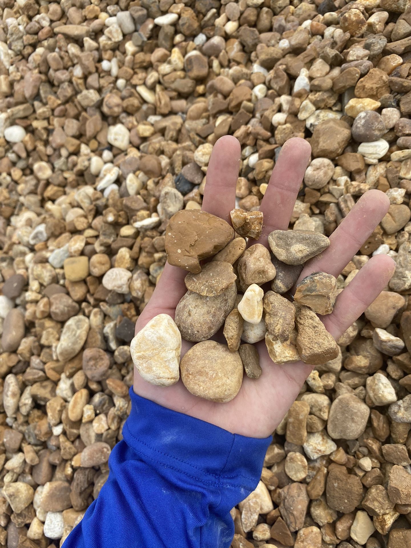 Medium 3/4 Brown River Rock