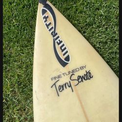 Vintage Terry Senate Infiniti Surfboard Short Board