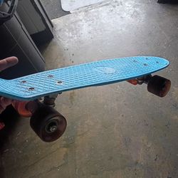 Mini   longboard Skateboard