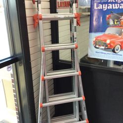Little giant ladder