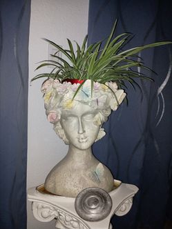 Pot