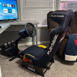 Logitech G923  Racing Setup