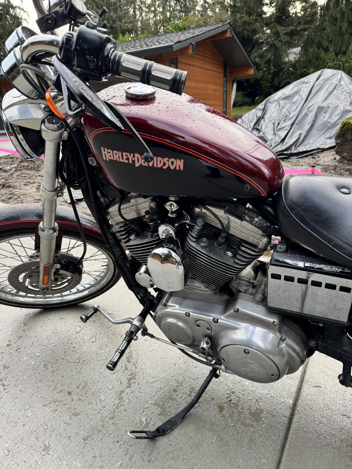 2001 Harley Davidson Xl1200c
