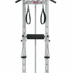 Bowflex Power Tower 