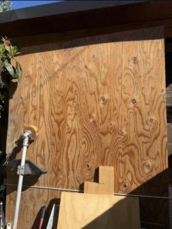 Plywood 3/4 12 Pieces 