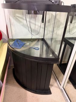 Fish tank