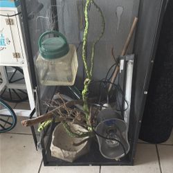Chameleon Cage 