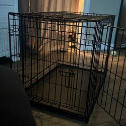 Dog Cage 
