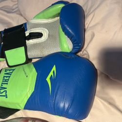 Boxing Gloves Everlast