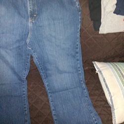 Ladies jeans  Size 16 Petite  $5