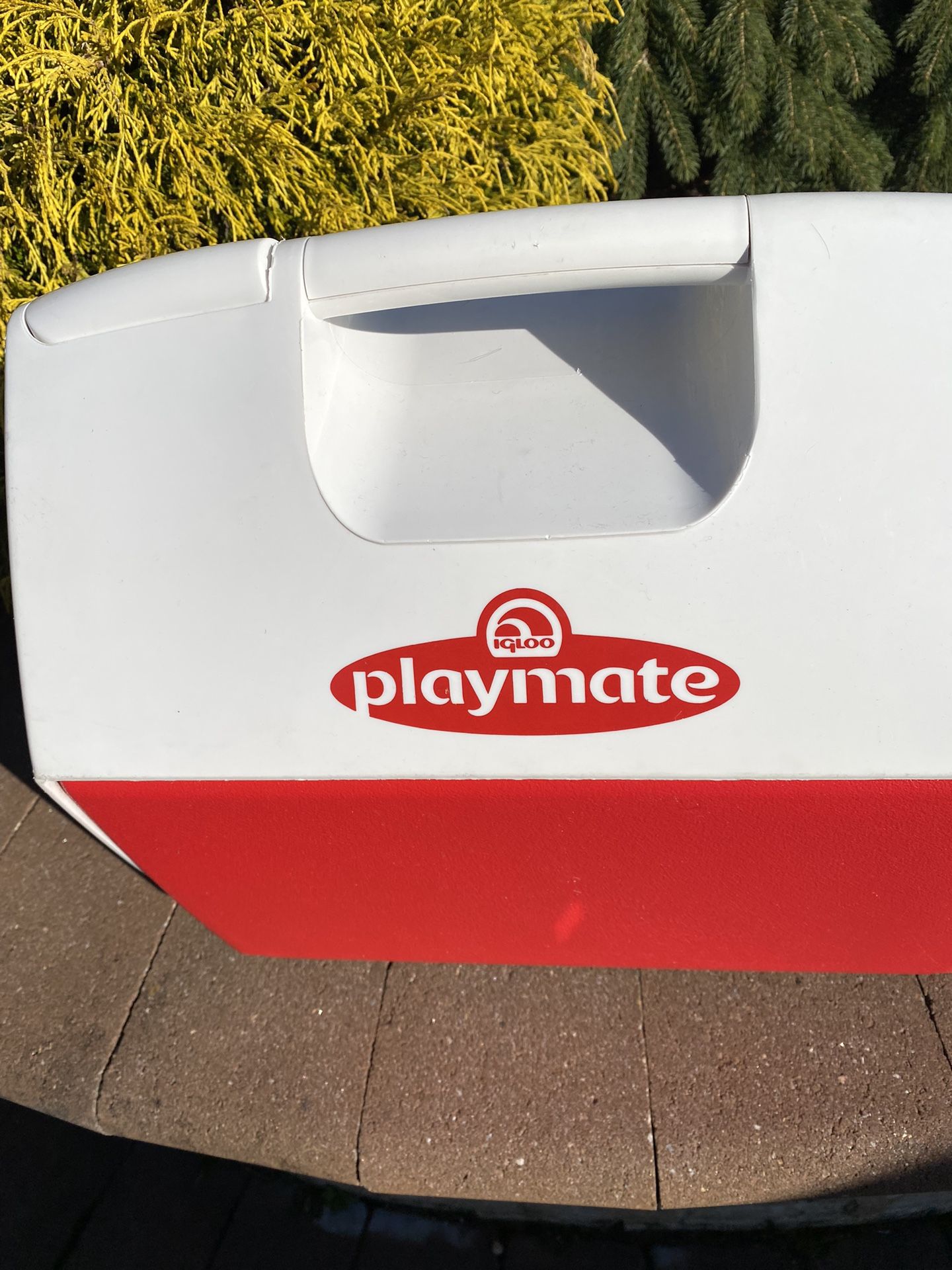 Igloo Cooler Playmate