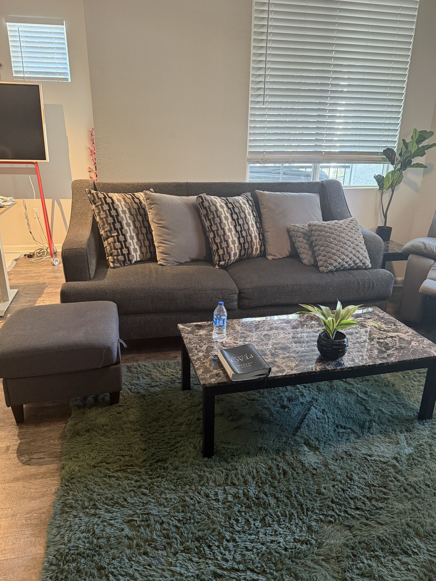 Coffee Table & End Table
