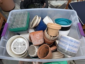 FREE — 20+ Plant Pots & Saucers (Ceramic, Terracotta, Plastic)