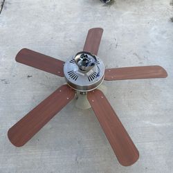 fan
