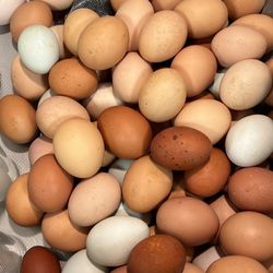 Farm Fresh Eggs
