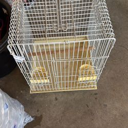 Bird Cage 
