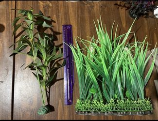 Large Aquarium Decor