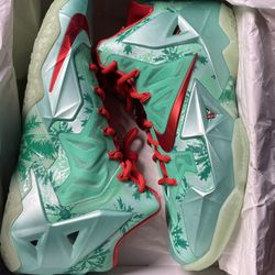 Nike Basketball Shoe