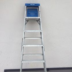Ladder 10 Ft
