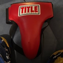TITLE Boxing Classic Groin Protector Plus 2.0