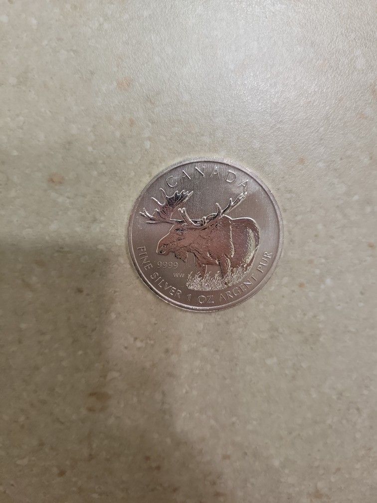 2012 Canada Wild Moose 1 Oz 999.9 Silver Coin 