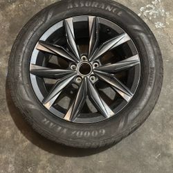 Volkswagen Wheel 