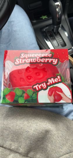 strawberry squishy