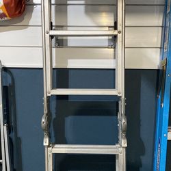 Multi Position Ladder