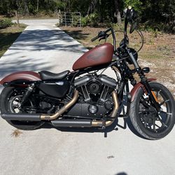 2017 Harley Davidson XL883N