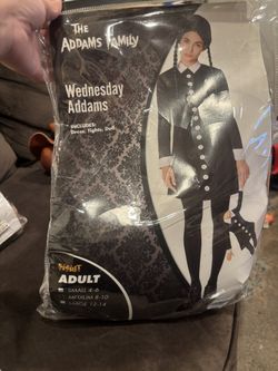 Wednesday Addams Costume (Medium)