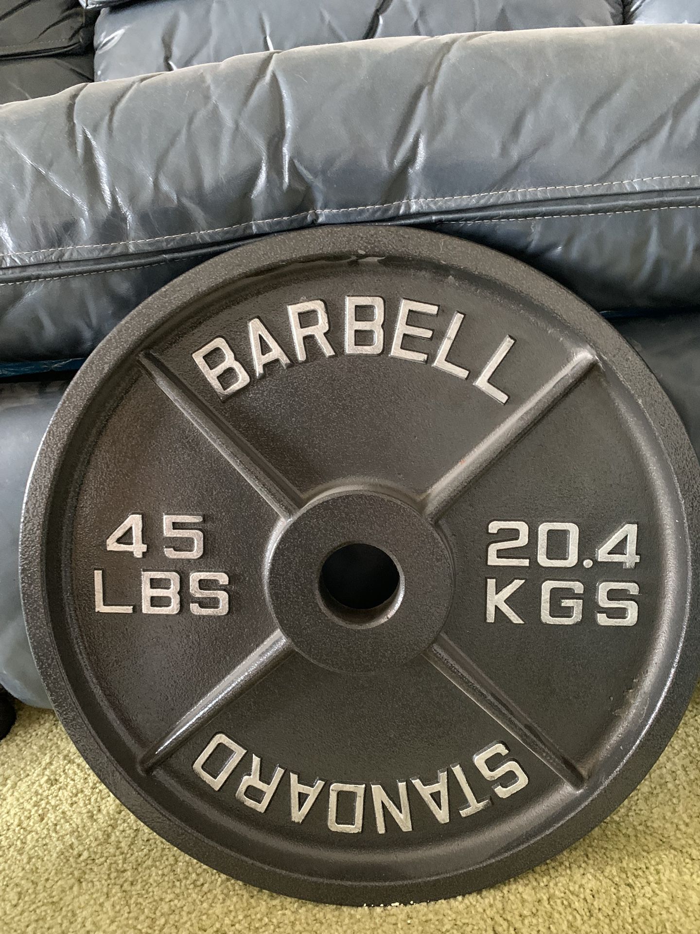 Barbell Olympic 45LB Plates (Plates Only)