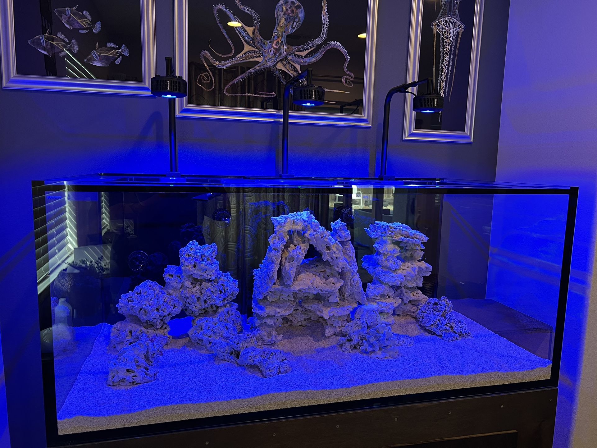 Reef Aquarium