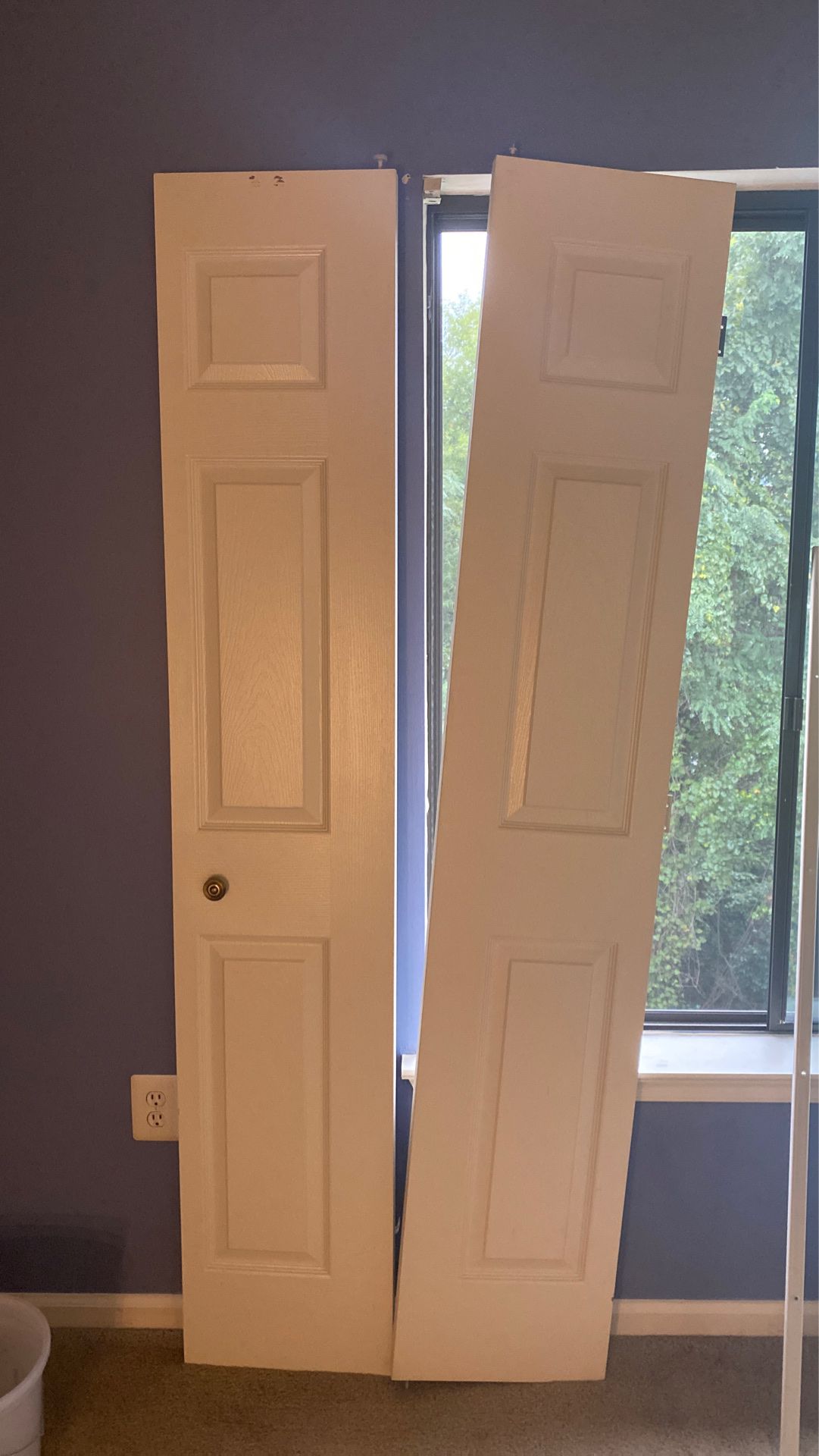 Pair of folding closet doors