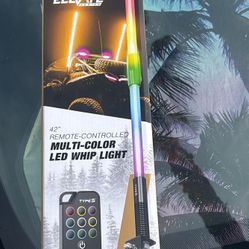 Type S LED Multi Color Whip Light