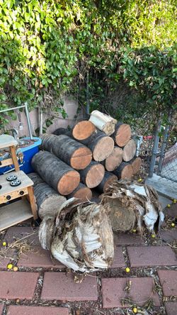 Wood Stumps