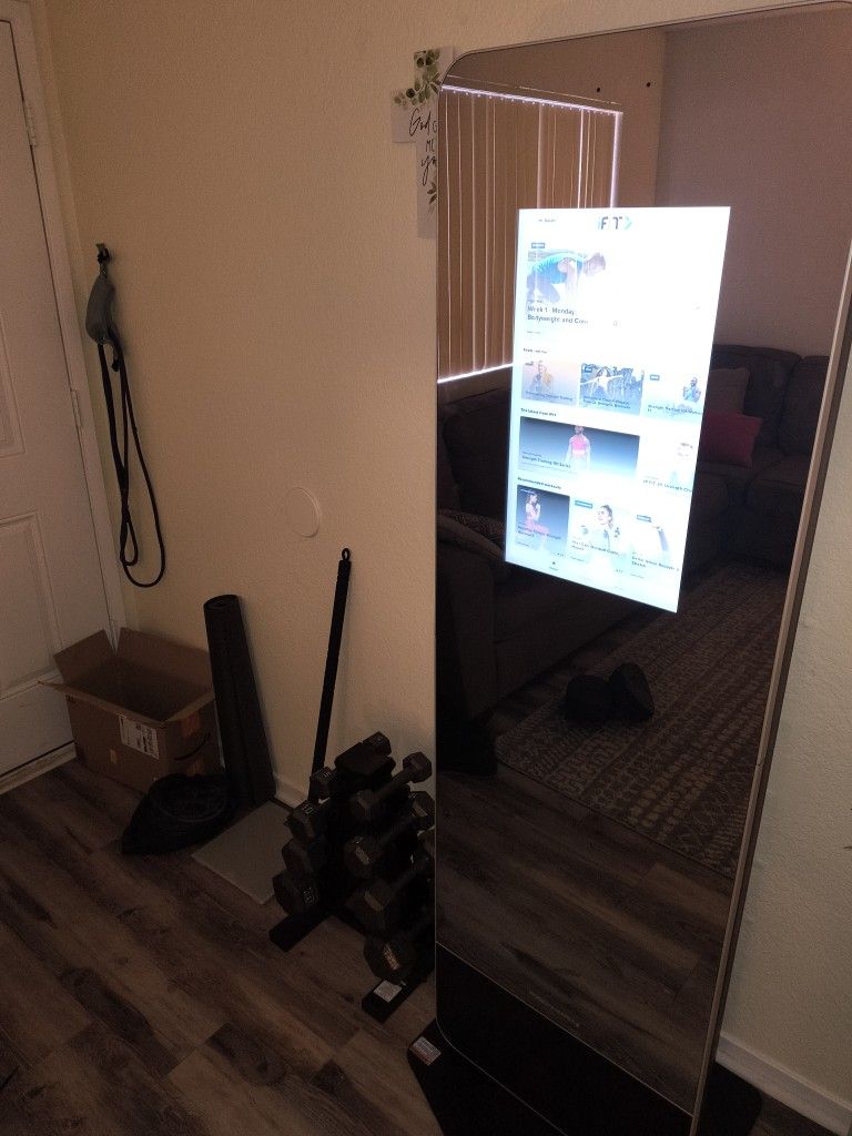 Vue Pro Form Fitness Mirror