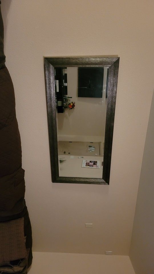 Home Goods Mirror