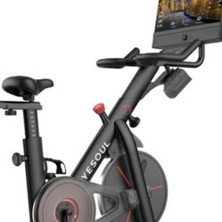 Yesoul Stationary Bike. $200