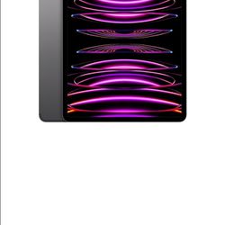 iPad Pro 4th gen 11 inch 1TB gig