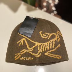 Brown arc’teryx beanie