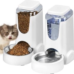 Cat Feeder and Water Dispenser