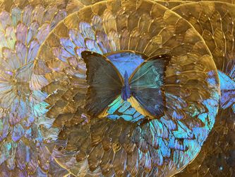 Butterfly Wings Coffee Oak Coffee Table