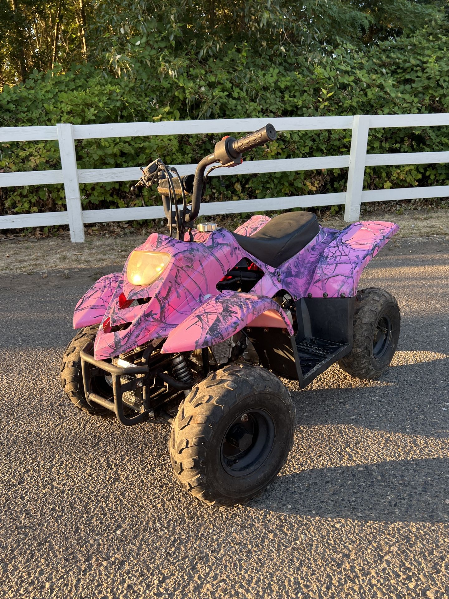110cc Kids Quad Atv Wheeler