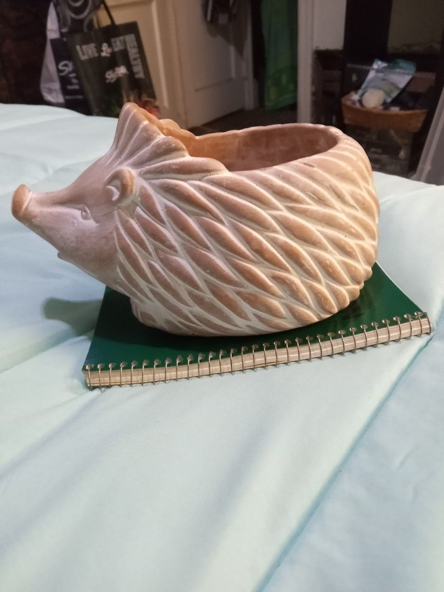 Hedgehog Planter