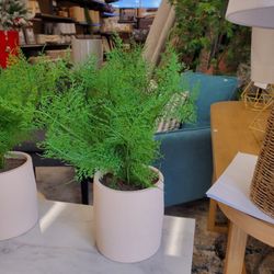 Artificial Plant 12.50