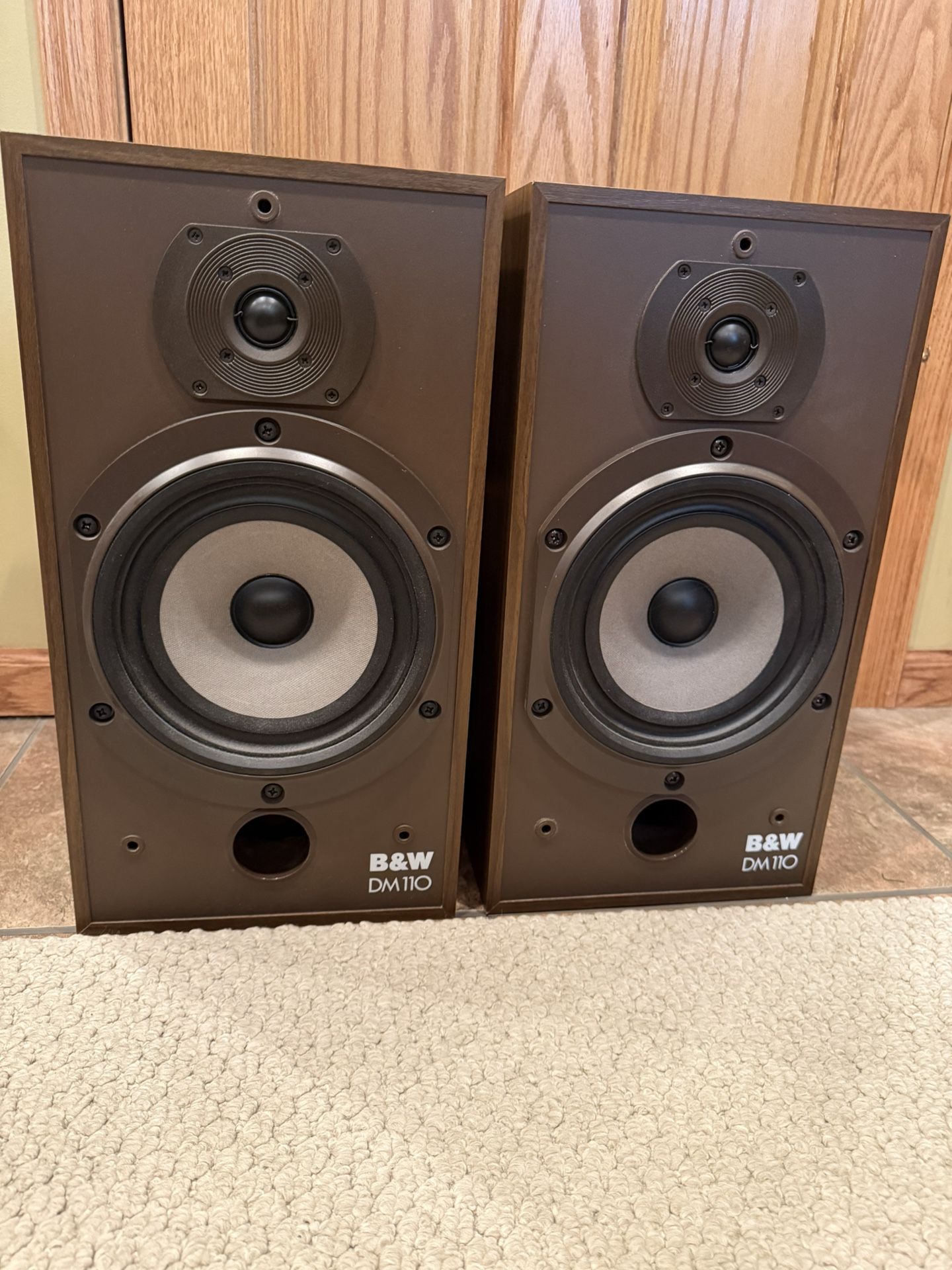 B&W Bowers & Wilkins DM110 Speakers england