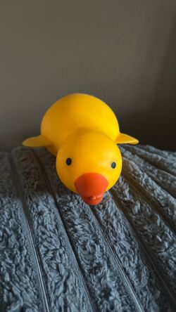 duck squishy toy